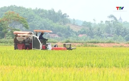 Tăng trưởng xanh mở ra cơ hội cho nông nghiệp Thanh Hóa 