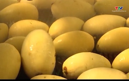 Tháng 1 năm 2026, xuất khẩu rau quả tăng gấp đôi 