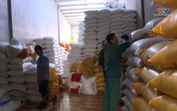 Xuất khẩu gạo tăng trong tháng đầu năm 2026