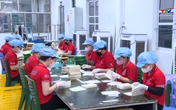 Nông dân sản xuất kinh doanh giỏi