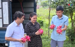 Xuất khẩu rau quả sang EU tăng gấp 3 lần 