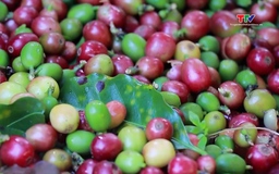 Xuất nhập khẩu cả nước tiến tới mốc 1.000 tỷ USD