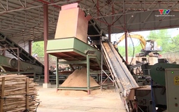 Kim ngạch ngành gỗ đầu năm 2026 sẽ tăng khoảng 12,5%