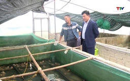 Xã An Nông phát triển chăn nuôi theo nhu cầu thị trường