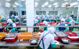 EU tăng cường kiểm soát thủy sản nhập khẩu