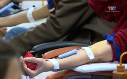 Lễ hội hiến máu “Giọt hồng Blouse trắng năm 2026”