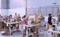 Đề xuất nâng hỗ trợ bảo hiểm nông nghiệp lên tối đa 95%