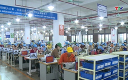 Giữ nhịp tăng trưởng ngay từ những tháng đầu năm