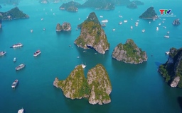 Việt Nam đón trên 2 triệu lượt khách quốc tế tháng thứ 3 liên tiếp