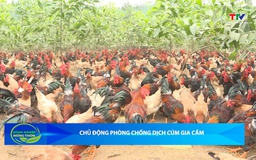 Bản tin Nông nghiệp – Nông thôn ngày 11/03/2026