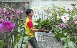 Ứng dụng công nghệ số nhằm nâng cao hiệu quả sản xuất nông nghiệp