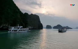 Việt Nam là một trong những điểm đến nổi bật tại châu Á