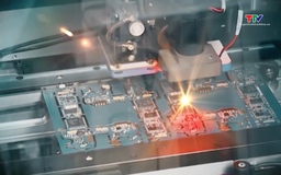 Việt Nam tham gia mọi công đoạn của chuỗi giá trị bán dẫn toàn cầu