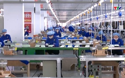 Việt Nam vào nhóm kinh tế có triển vọng tăng trưởng thương mại