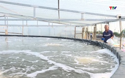 Chuẩn bị các điều kiện nuôi trồng  thủy sản vụ xuân hè