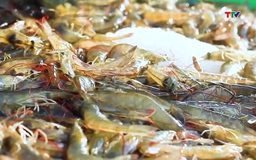 5 thị trường Trung Đông nhập khẩu hàng của Việt Nam gần 10 tỷ USD 