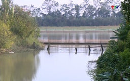 Chủ động ứng phó với hạn hán, thiếu nước và xâm nhập mặn