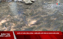 Bản tin Du lịch 17/3/2026