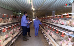 Giá trứng gia cầm giảm mạnh, sức tiêu thụ giảm