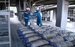 Giá xi măng tăng lần thứ ba trong quý I