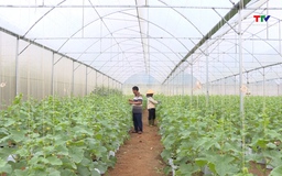 Hiệu quả nguồn vốn  Quỹ Hỗ trợ nông dân