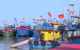 Khai thác hải sản gặp khó khăn khi giá xăng dầu tăng cao