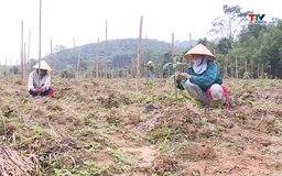 Lan tỏa ý thức bảo vệ rừng