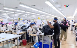 Doanh nghiệp Thanh Hóa đa dạng thị trường xuất khẩu