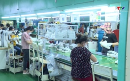 Ngành da giày chủ động nguyên liệu nhằm duy trì đà tăng trưởng 