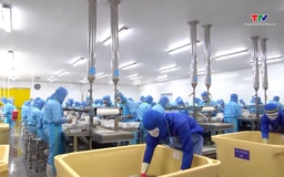 Xuất khẩu thủy sản tìm dư địa tăng trưởng từ các thị trường mới