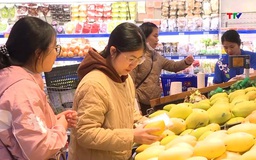 Giải pháp kiểm soát chỉ số giá tiêu dùng trong năm 2026