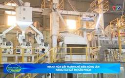 Bản tin Nông nghiệp – Nông thôn 21/03/2026