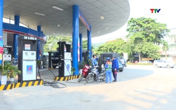 Đẩy nhanh lộ trình đưa xăng sinh học E10 ra thị trường