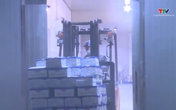 Nông sản Việt ứng phó biến động logistics