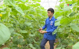 Lan tỏa tinh thần khởi nghiệp trong thanh niên miền núi