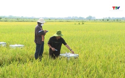 Đề xuất công nghệ chiến lược cho nông nghiệp và môi trường bền vững