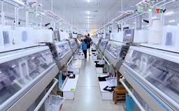 Thanh Hóa thu nội địa quý 1 năm 2026 duy trì đà tăng trưởng