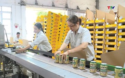 Quý 1/2026, Thanh Hóa thu nội địa đạt 10.794 tỷ đồng