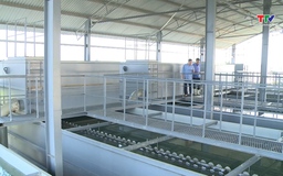 Công ty Cổ phần cấp nước Thanh Hoá đẩy mạnh chuyển đổi số, nâng cao chất lượng dịch vụ