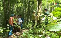 Tăng cường ứng phó với nguy cơ cháy rừng