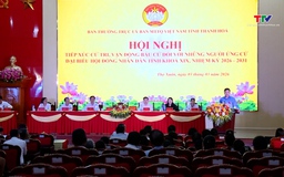 Chủ tịch UBND tỉnh và các ứng cử viên đại biểu HĐND tỉnh tiếp xúc cử tri, vận động bầu cử