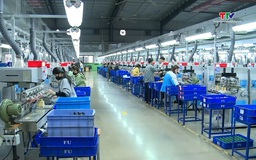 Doanh nghiệp tăng tuyển dụng lao động từ đầu năm