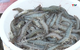 Bản tin Nông nghiệp - Nông thôn ngày 04/03/2026