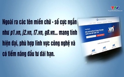 Việt Nam Lần đầu tiên đấu giá tên miền hiếm 2 ký tự quốc gia “.vn”