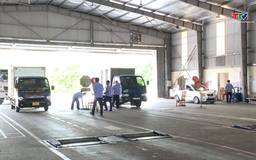 Đã cấp hơn 23.000 giấy chứng nhận đăng kiểm điện tử cho người dân và doanh nghiệp