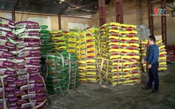 Thị trường phân bón vụ chiêm xuân: Nguồn cung dồi dào, giá ổn định