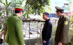 Quyết liệt ngăn chặn săn bắt, buôn bán động vật hoang dã
