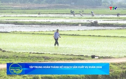 Bản tin Nông nghiệp – Nông thôn 07/03/2026