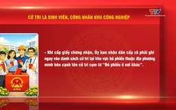 Cử tri sinh viên, công nhân đang học tập và làm việc xa nơi thường trú thì tham gia bỏ phiếu như thế nào?