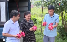 2 tháng năm 2026, xuất khẩu rau quả cả nước đạt 1 tỷ USD